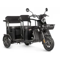 Электротрицикл Wanshida LC300 60V 1000Вт Черный