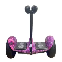 Мини-сигвей MINI ROBOT Розовый